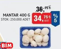 MANTAR